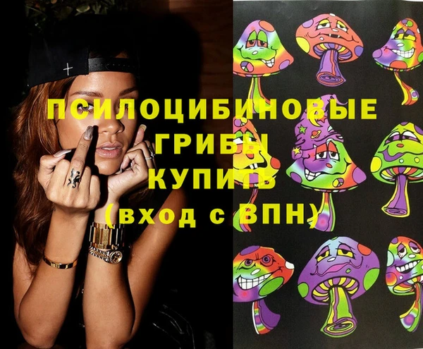 тгк Армянск