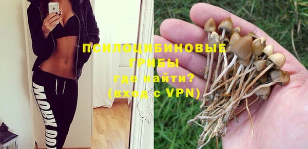 крисы Арсеньев