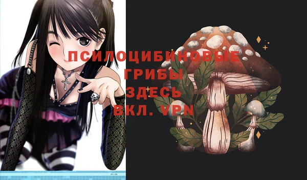 гидропоника Аркадак
